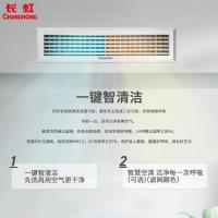 长虹/CHANGHONG CHR26FW/DBR1 空调机
