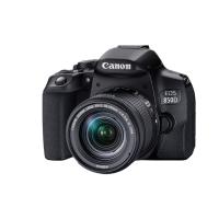 佳能/CANON EOS850D 单镜头套机/EF18-55mm STM/数字照相机